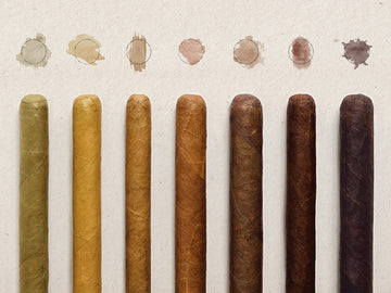 Exploring the World of Cigar Wrappers: A Guide to Varieties and Tastes