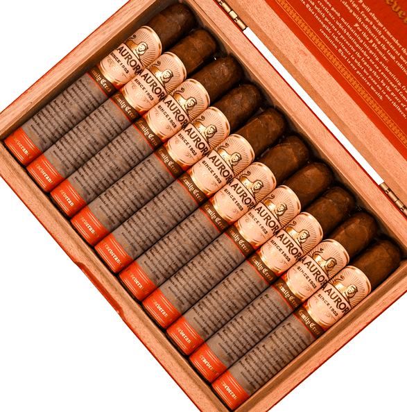 La Aurora Family Creed Perseverancia Robusto BP (5.0" x 50)