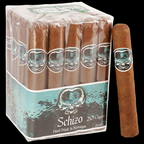 Asylum Schizo 6.0" x 60