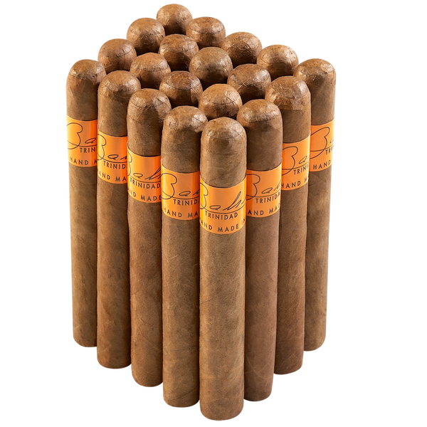 Bahia Trinidad Pancho (5.5" x 50)