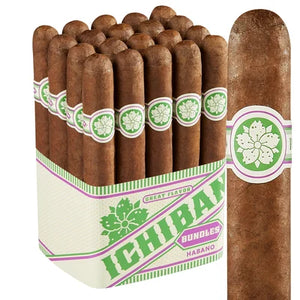 Room101 Ichiban Habano Churchill (7.0" x 50)