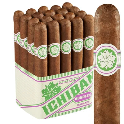 Room101 Ichiban Habano Toro (6.0" x 50)