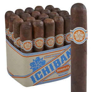 Room101 Ichiban Maduro Churchill (7.0" x 50)