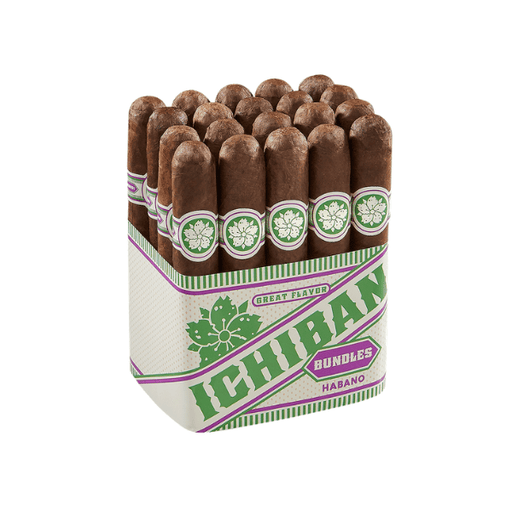 Room101 Ichiban Habano Robusto (5.5" x 50)